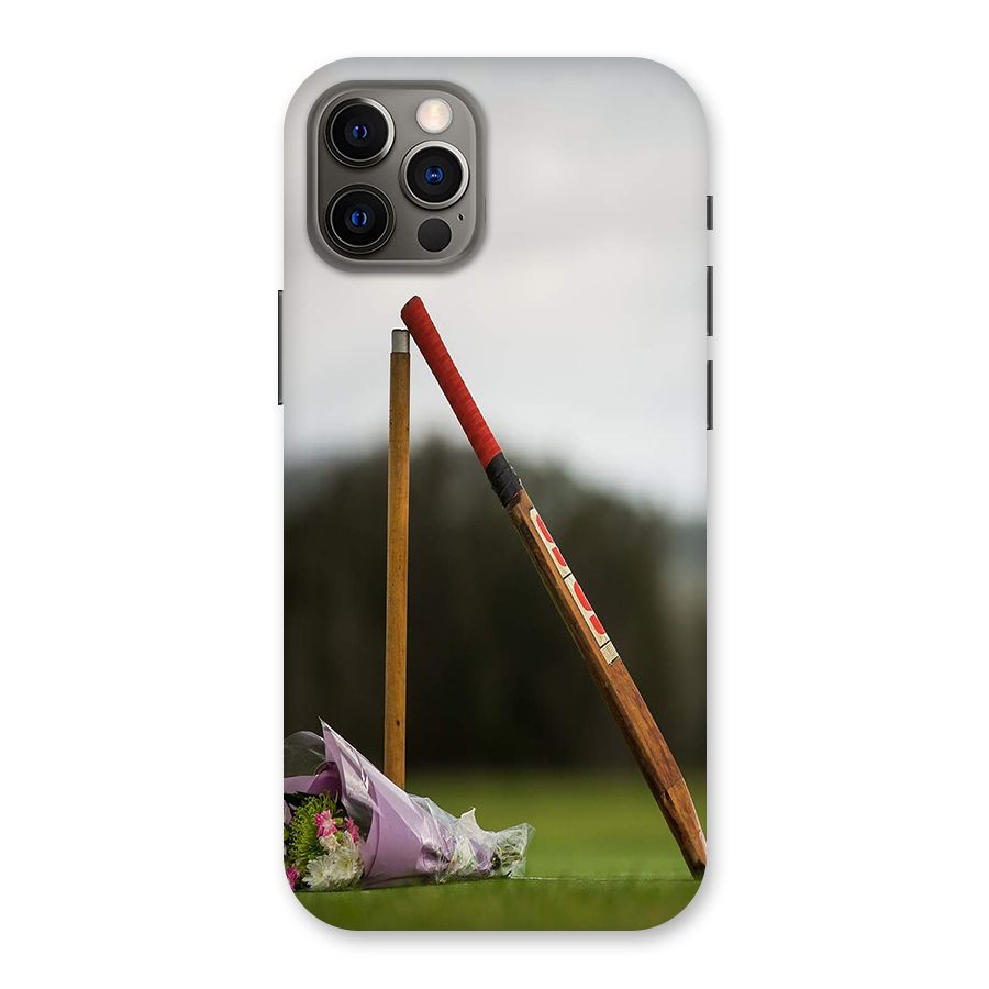 Bat Wicket Back Case for iPhone 12 Pro