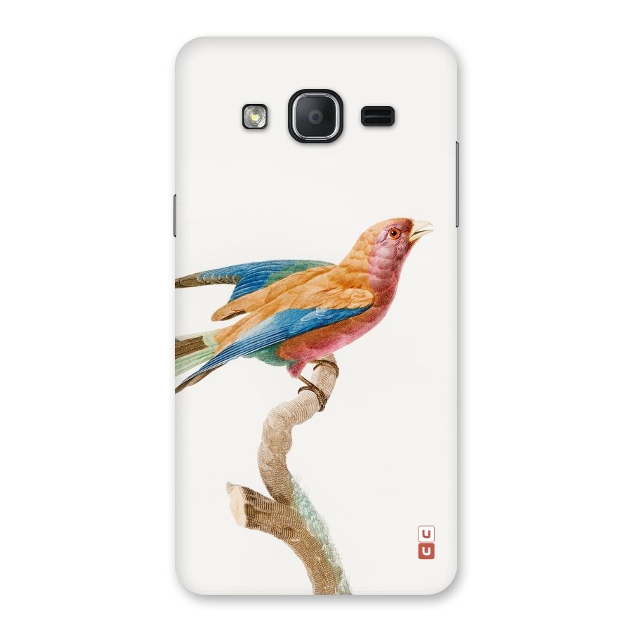 Beautiful Bird Back Case for Galaxy On7 2015