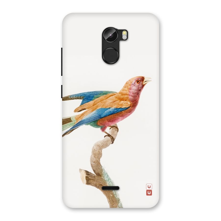 Beautiful Bird Back Case for Gionee X1