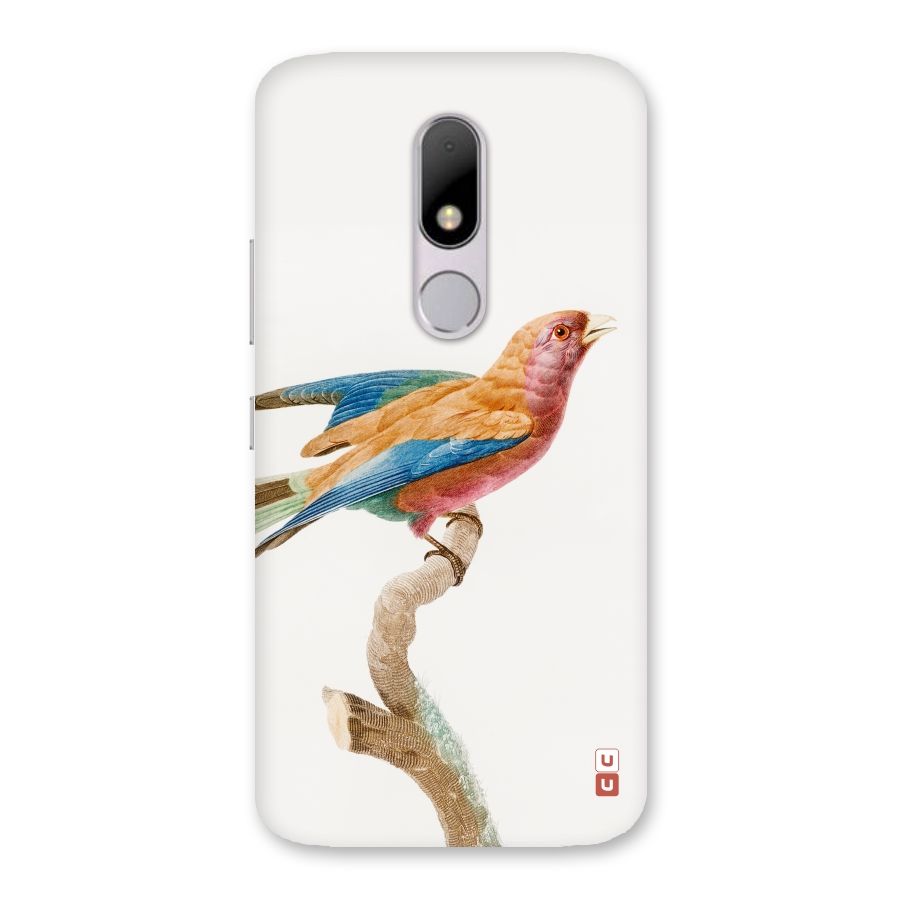 Beautiful Bird Back Case for Moto M