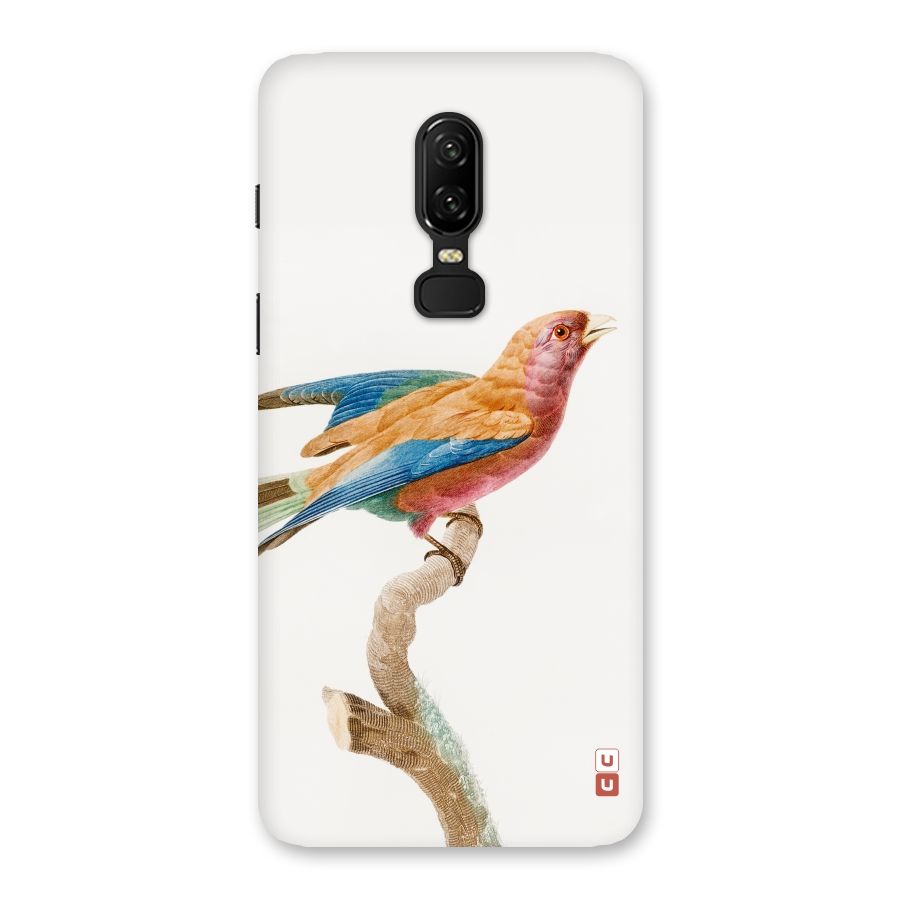 Beautiful Bird Back Case for OnePlus 6