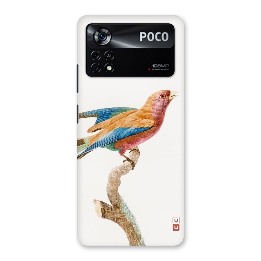 Beautiful Bird Back Case for Poco X4 Pro 5G