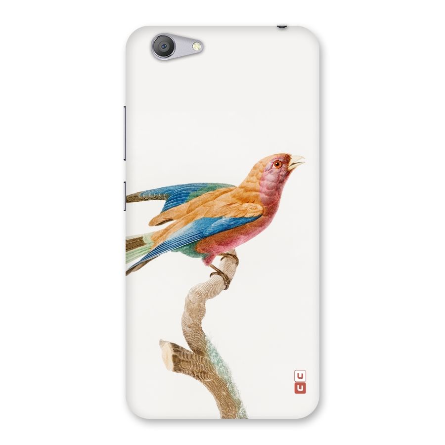 Beautiful Bird Back Case for Vivo Y53