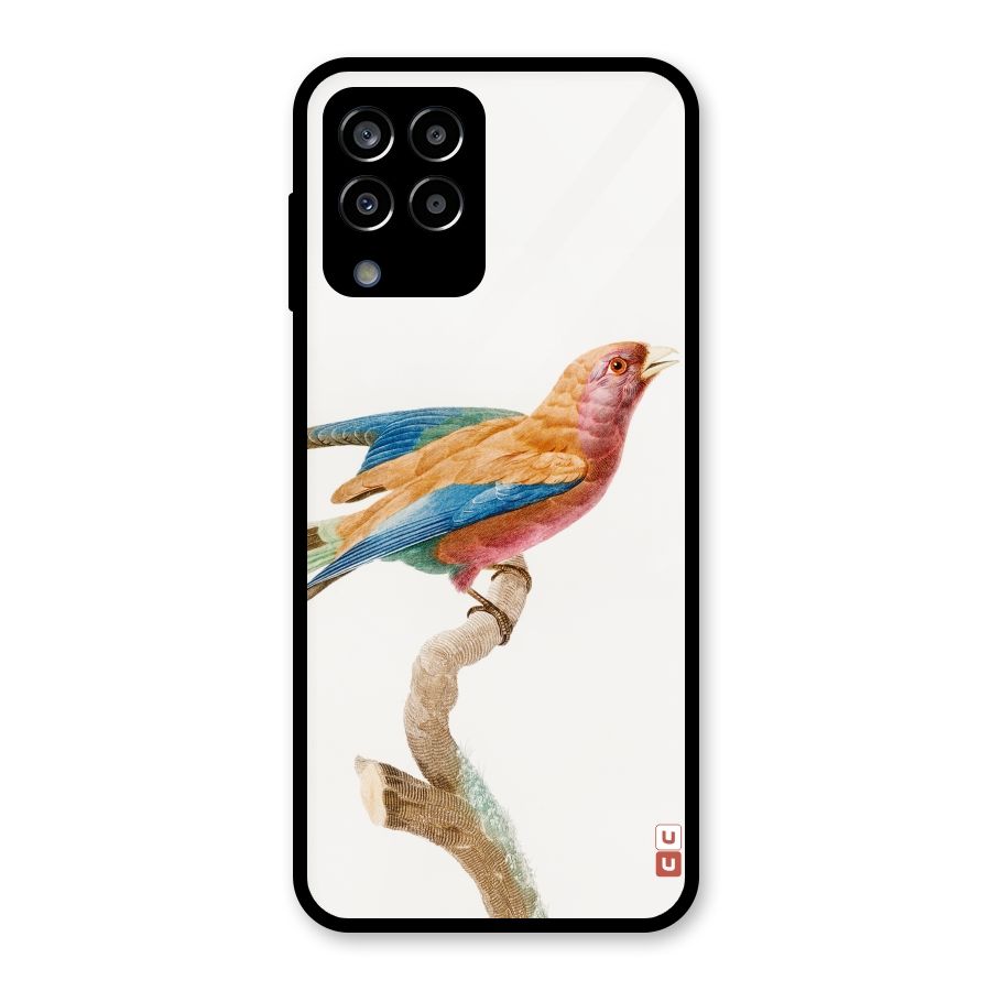 Beautiful Bird Glass Back Case for Galaxy M33