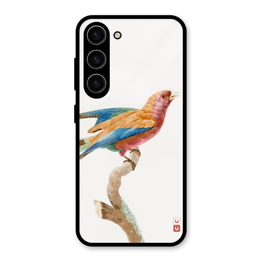 Beautiful Bird Glass Back Case for Galaxy S23