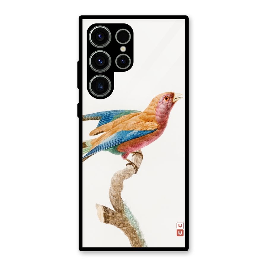 Beautiful Bird Glass Back Case for Galaxy S23 Ultra
