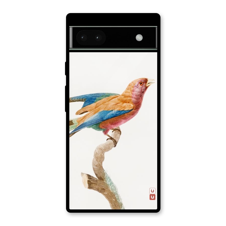 Beautiful Bird Glass Back Case for Google Pixel 6a