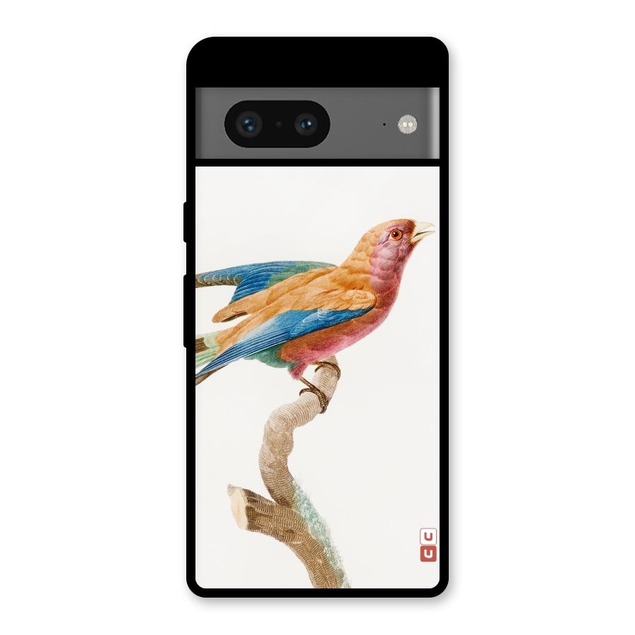Beautiful Bird Glass Back Case for Google Pixel 7