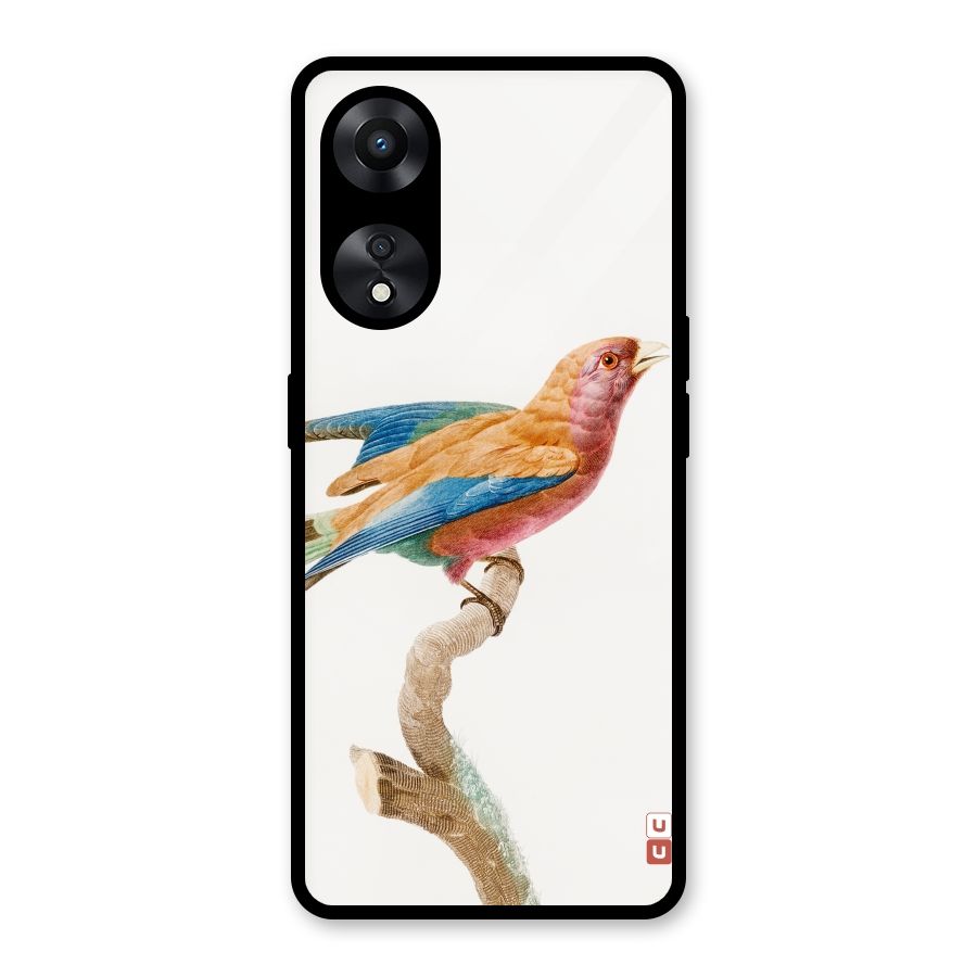 Beautiful Bird Glass Back Case for Oppo A78