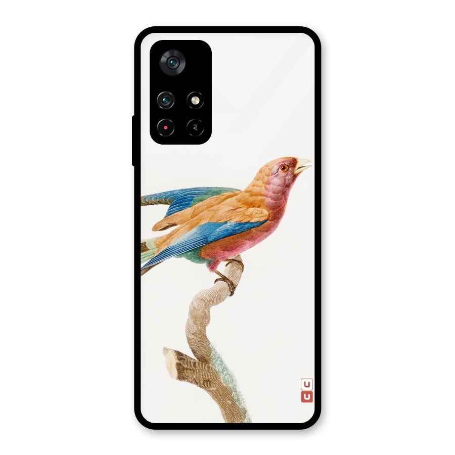 Beautiful Bird Glass Back Case for Poco M4 Pro 5G