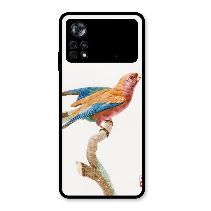 Beautiful Bird Glass Back Case for Poco X4 Pro 5G