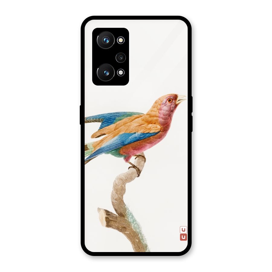Beautiful Bird Glass Back Case for Realme GT Neo 3T