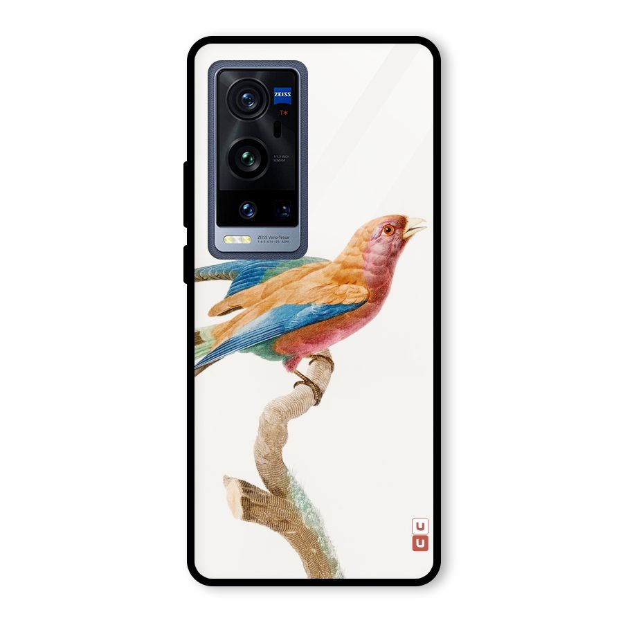 Beautiful Bird Glass Back Case for Vivo X60 Pro Plus