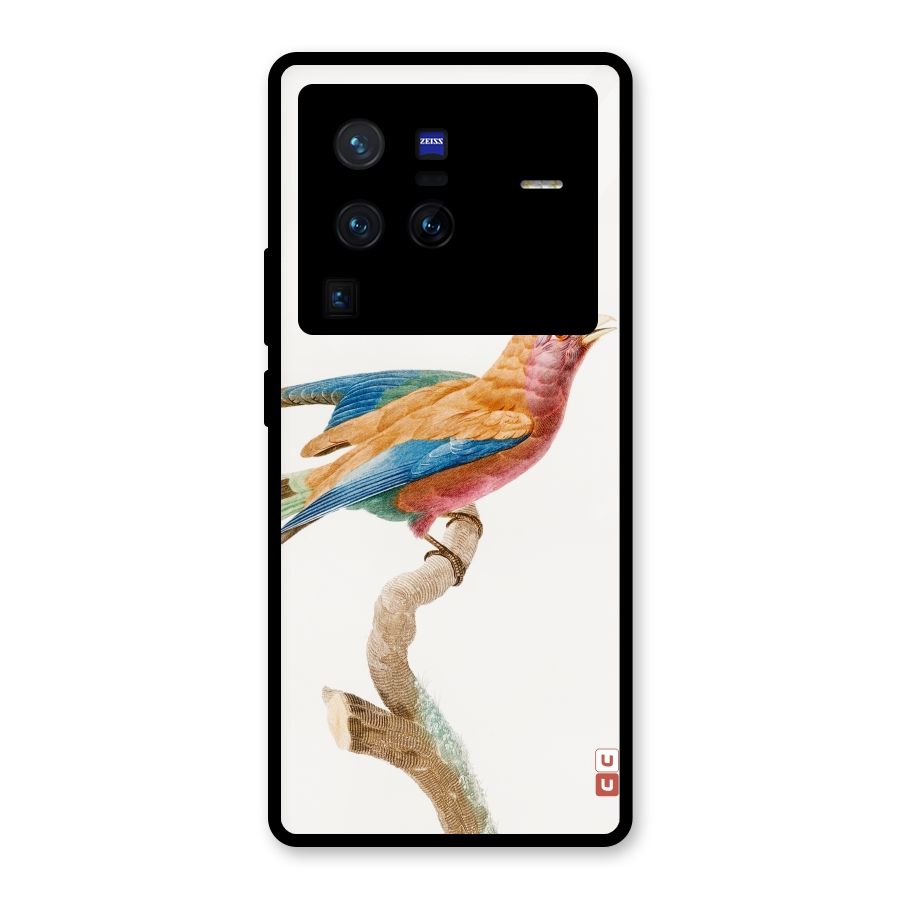 Beautiful Bird Glass Back Case for Vivo X80 Pro