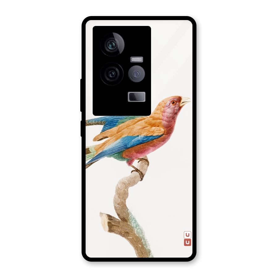 Beautiful Bird Glass Back Case for Vivo iQOO 11 5G