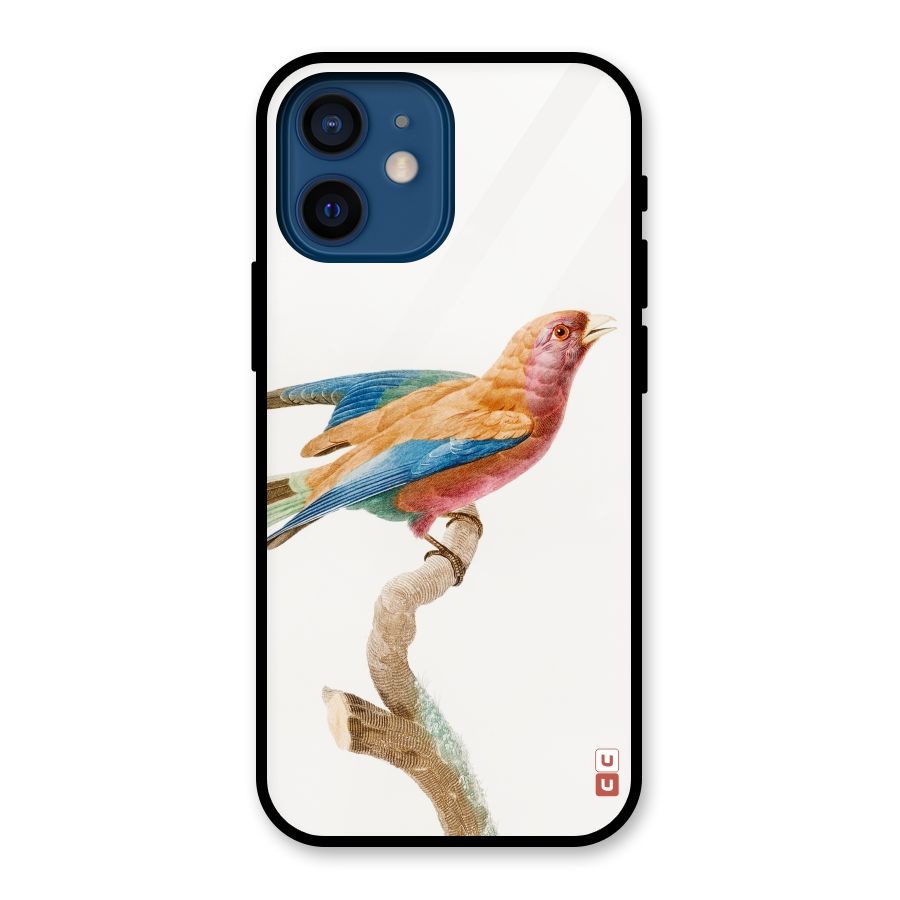 Beautiful Bird Glass Back Case for iPhone 12 Mini