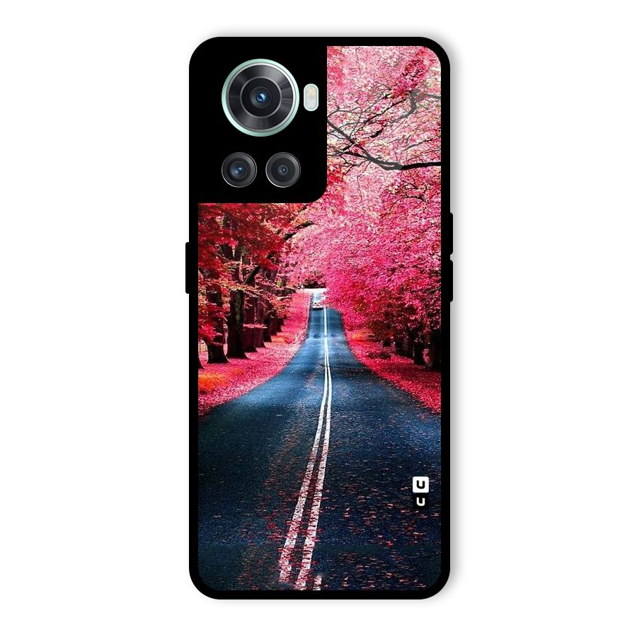 Beautiful Red Trees Glass Back Case for OnePlus 10R