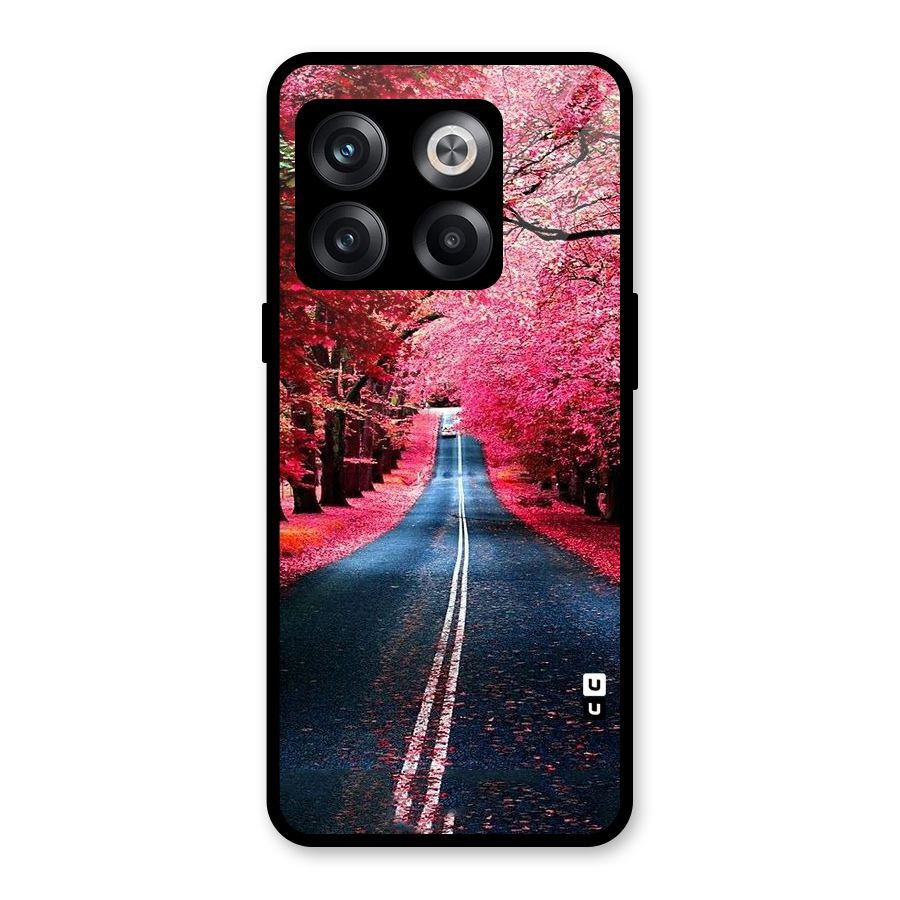 Beautiful Red Trees Glass Back Case for OnePlus 10T
