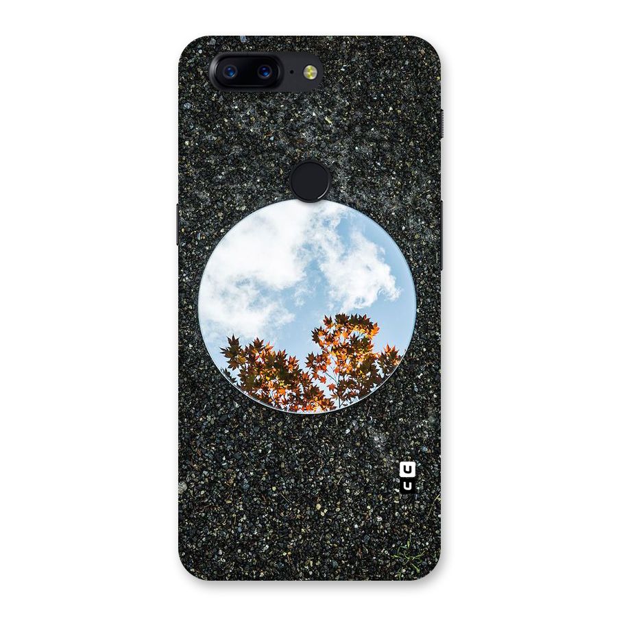 Beautiful Sky Leaves Back Case for OnePlus 5T
