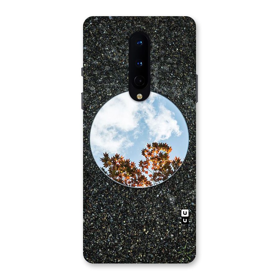 Beautiful Sky Leaves Back Case for OnePlus 8