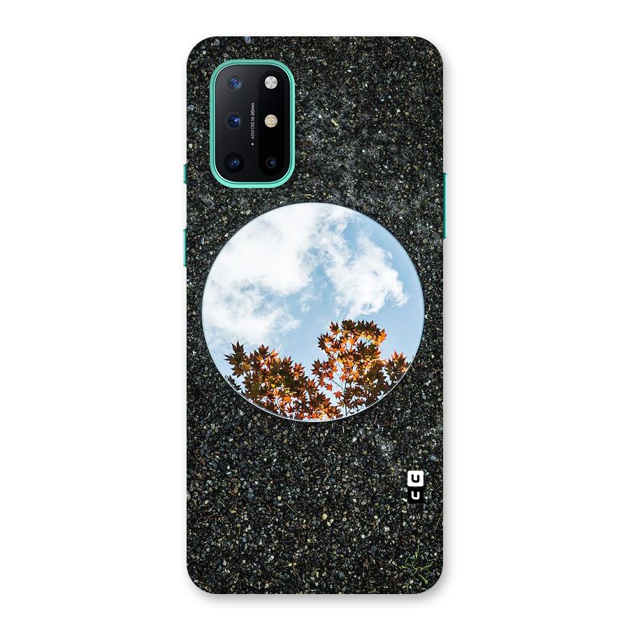 Beautiful Sky Leaves Back Case for OnePlus 8T