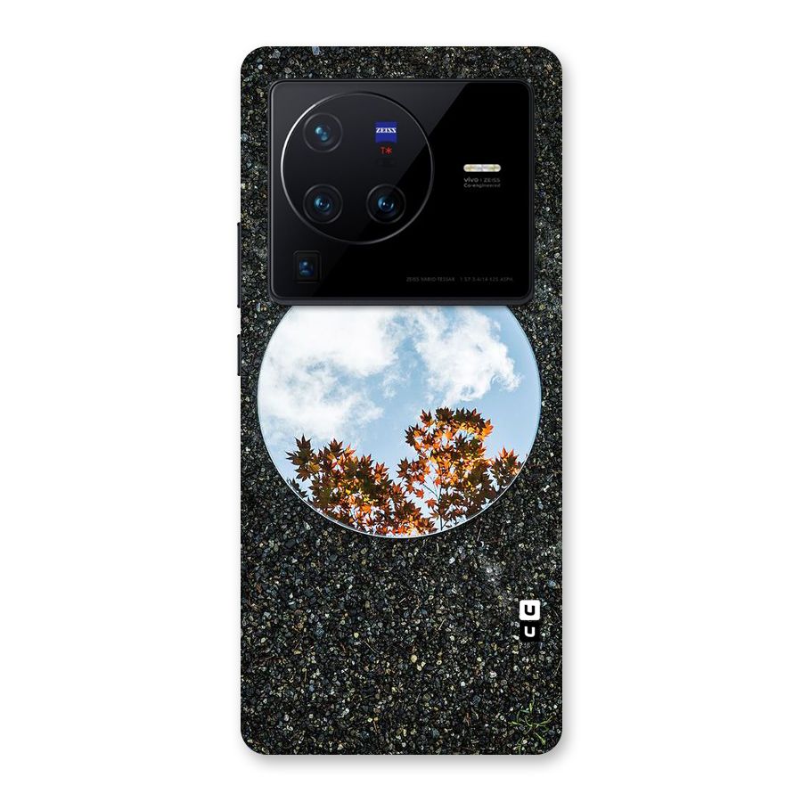Beautiful Sky Leaves Back Case for Vivo X80 Pro