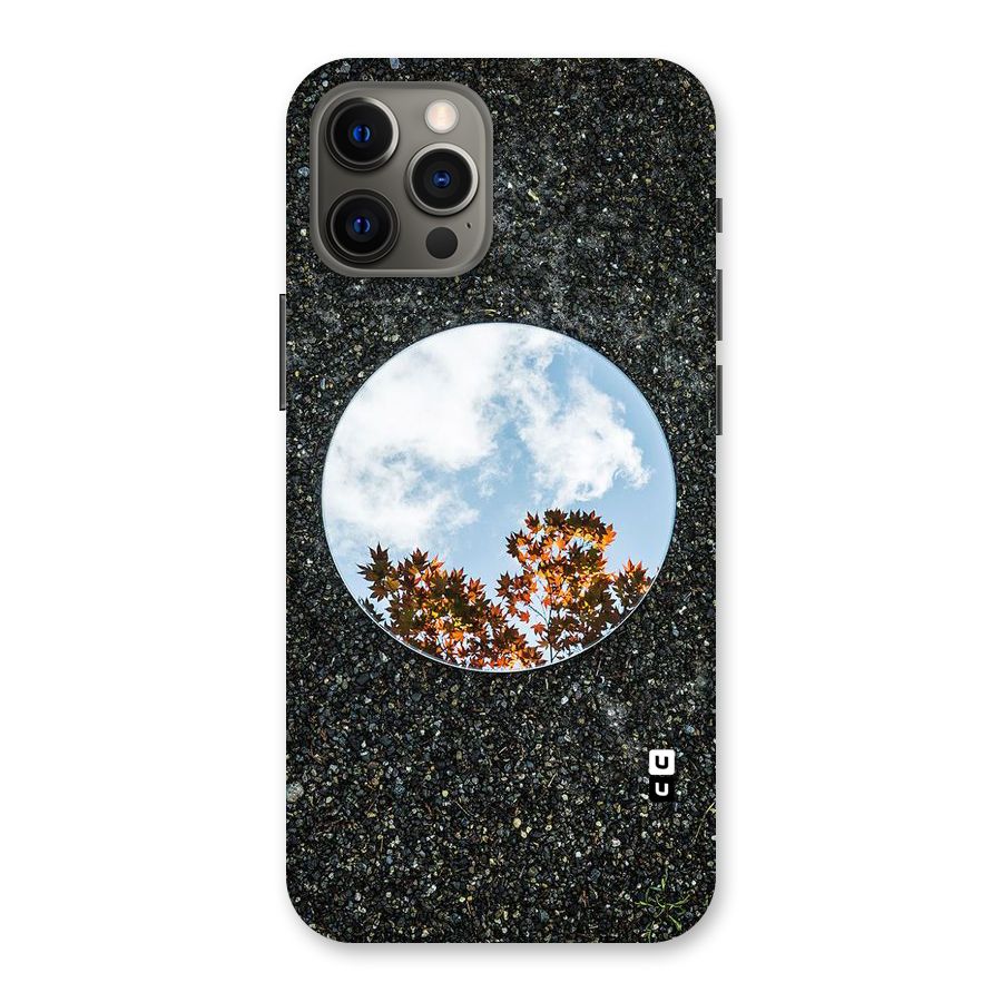Beautiful Sky Leaves Back Case for iPhone 12 Pro Max