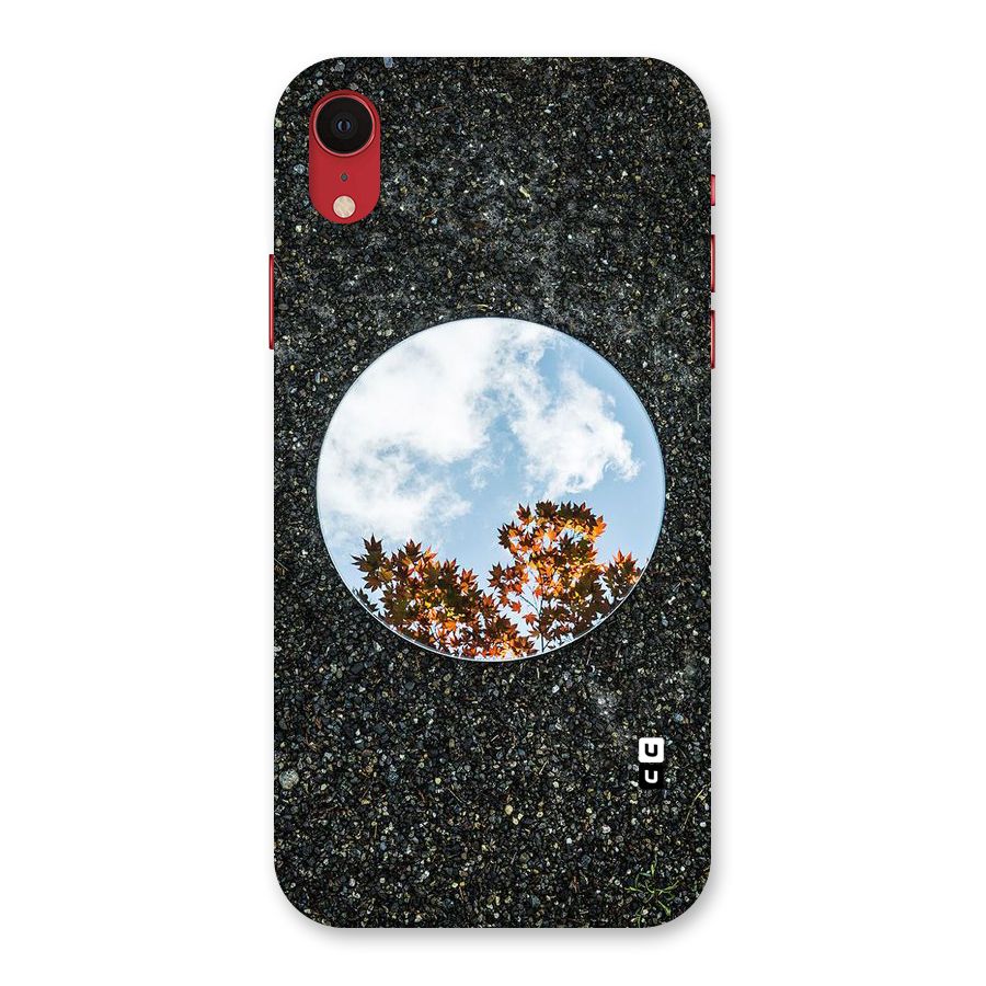 Beautiful Sky Leaves Back Case for iPhone XR