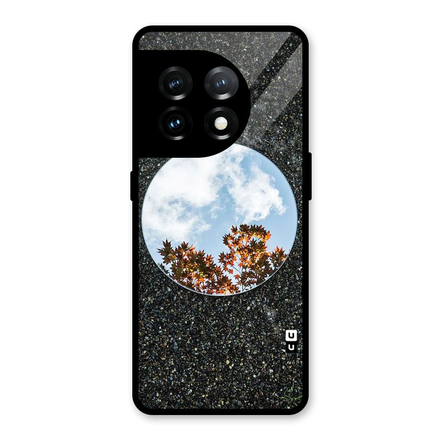 Beautiful Sky Leaves Glass Back Case for OnePlus 11