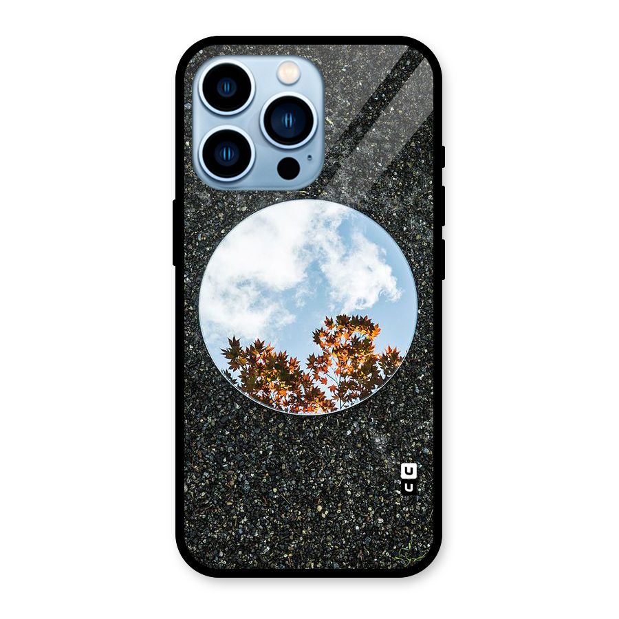 Beautiful Sky Leaves Glass Back Case for iPhone 13 Pro