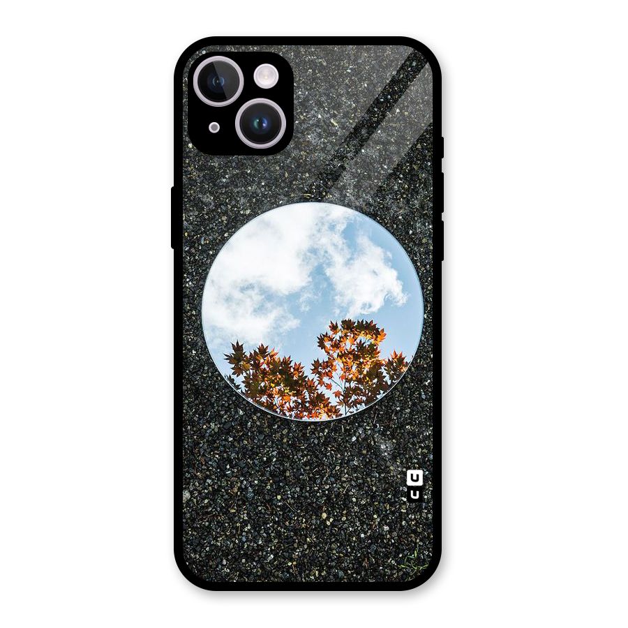 Beautiful Sky Leaves Glass Back Case for iPhone 14 Plus