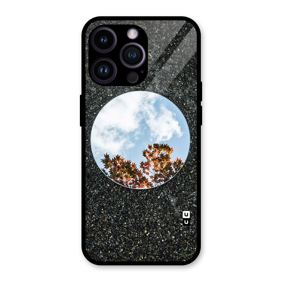 Beautiful Sky Leaves Glass Back Case for iPhone 14 Pro Max