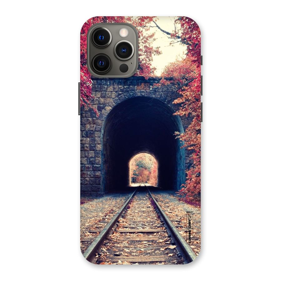 Beautiful Track Back Case for iPhone 12 Pro Max