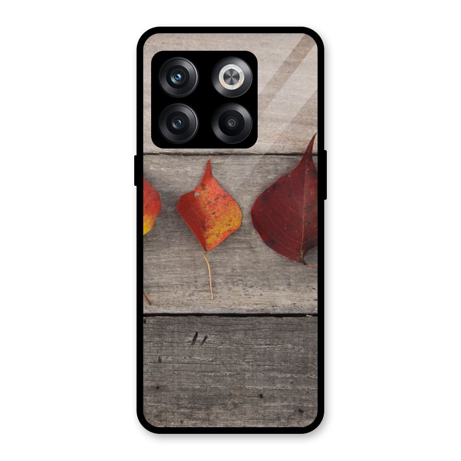 Beautiful Wood Leafs Glass Back Case for OnePlus 10T