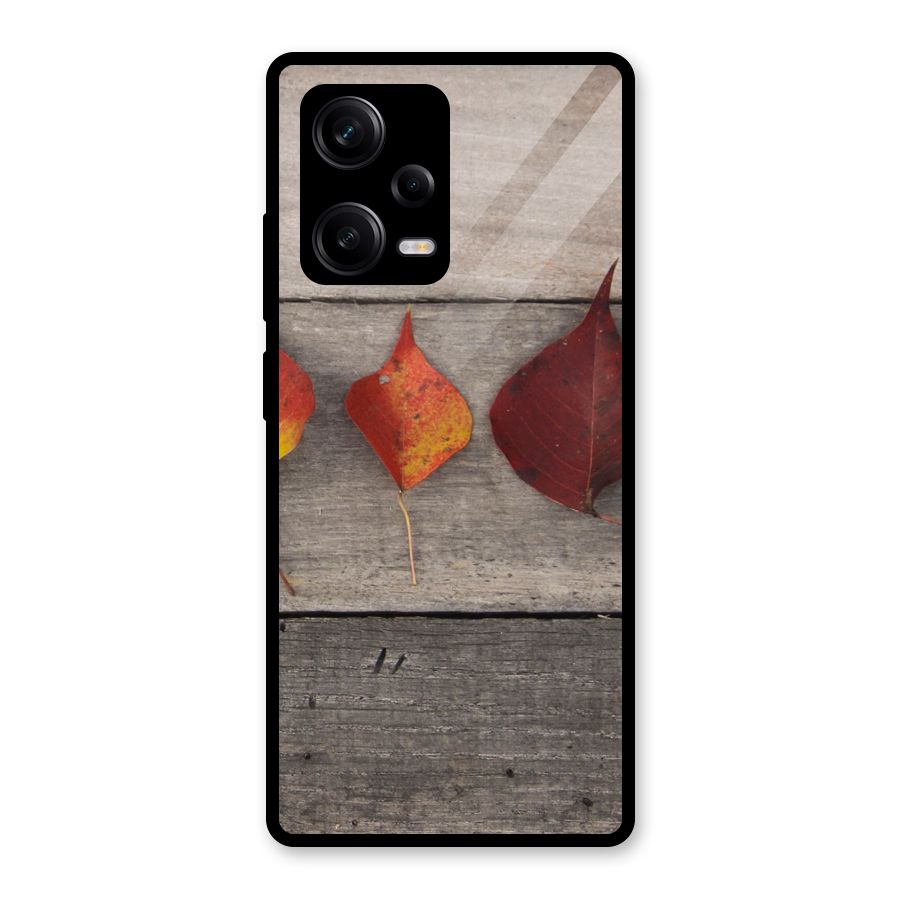 Beautiful Wood Leafs Glass Back Case for Redmi Note 12 Pro