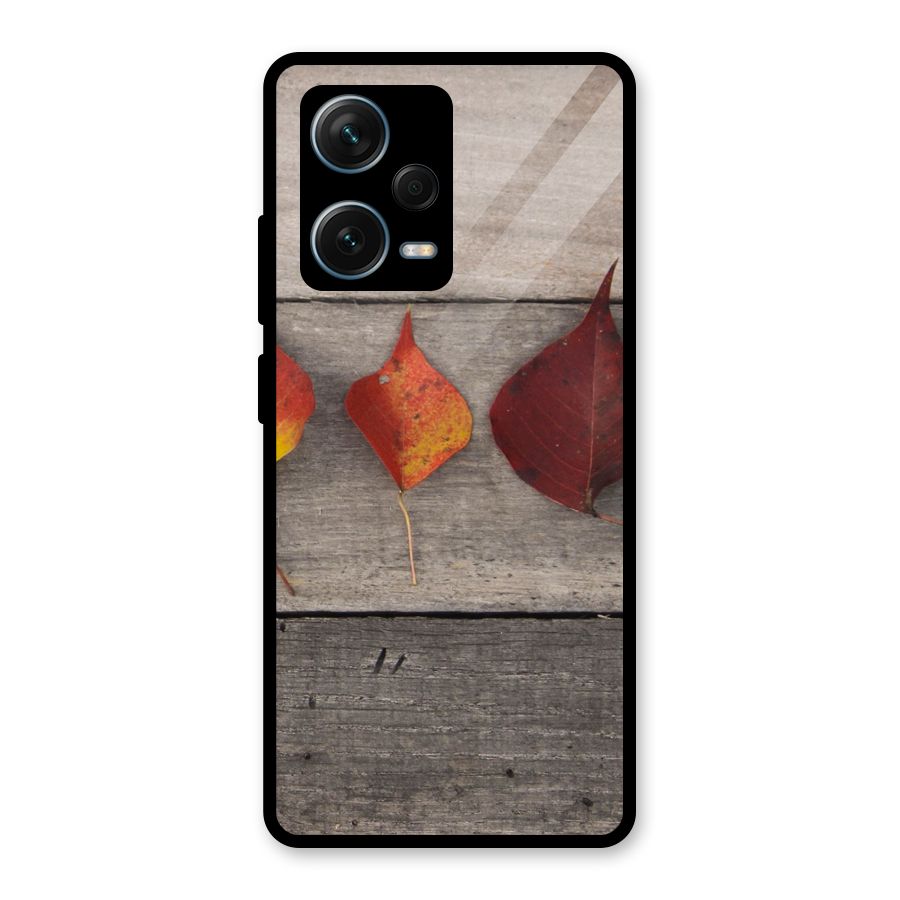 Beautiful Wood Leafs Glass Back Case for Redmi Note 12 Pro Plus 5G