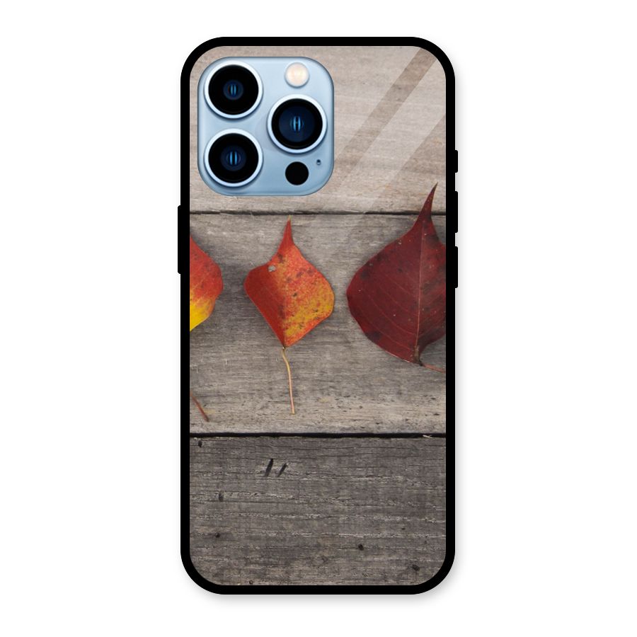 Beautiful Wood Leafs Glass Back Case for iPhone 13 Pro