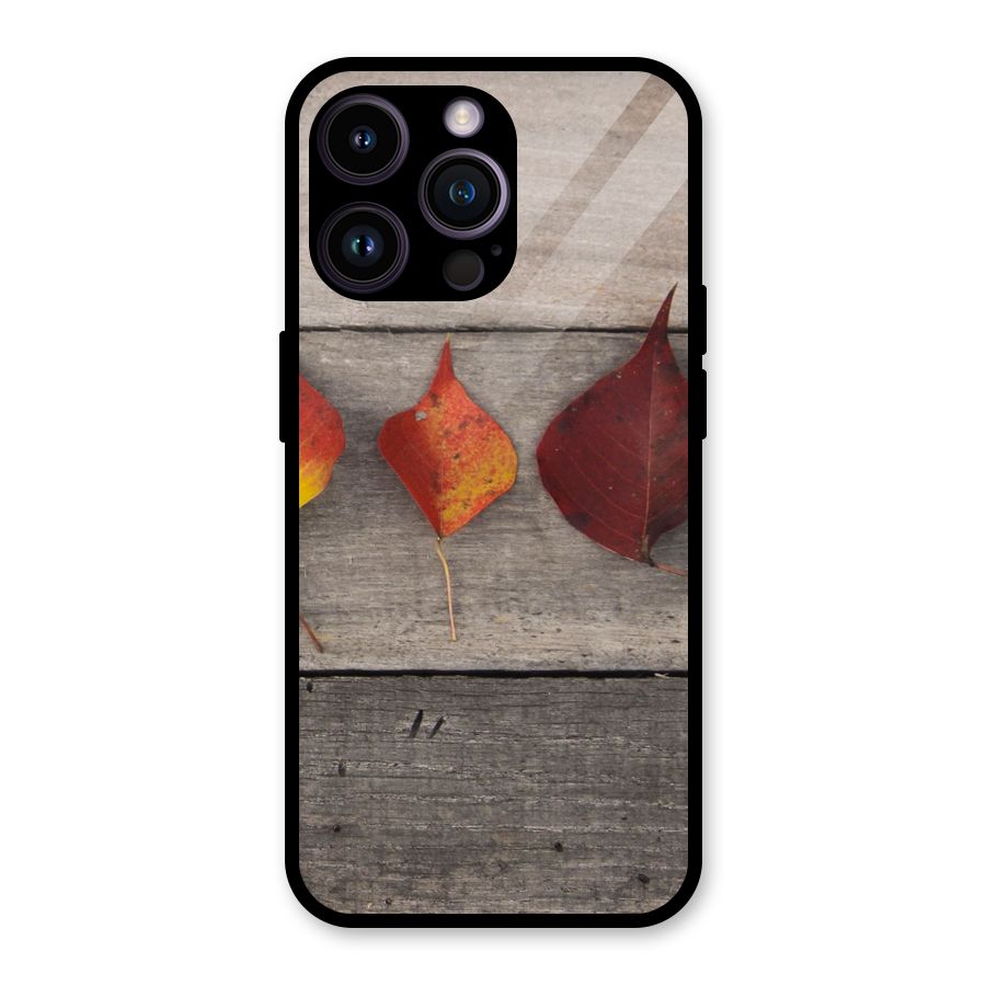 Beautiful Wood Leafs Glass Back Case for iPhone 14 Pro Max
