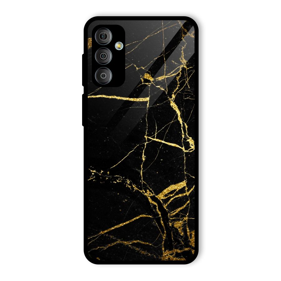 Black And Gold Design Glass Back Case for Galaxy F23