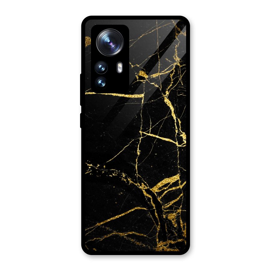 Black And Gold Design Glass Back Case for Xiaomi 12 Pro