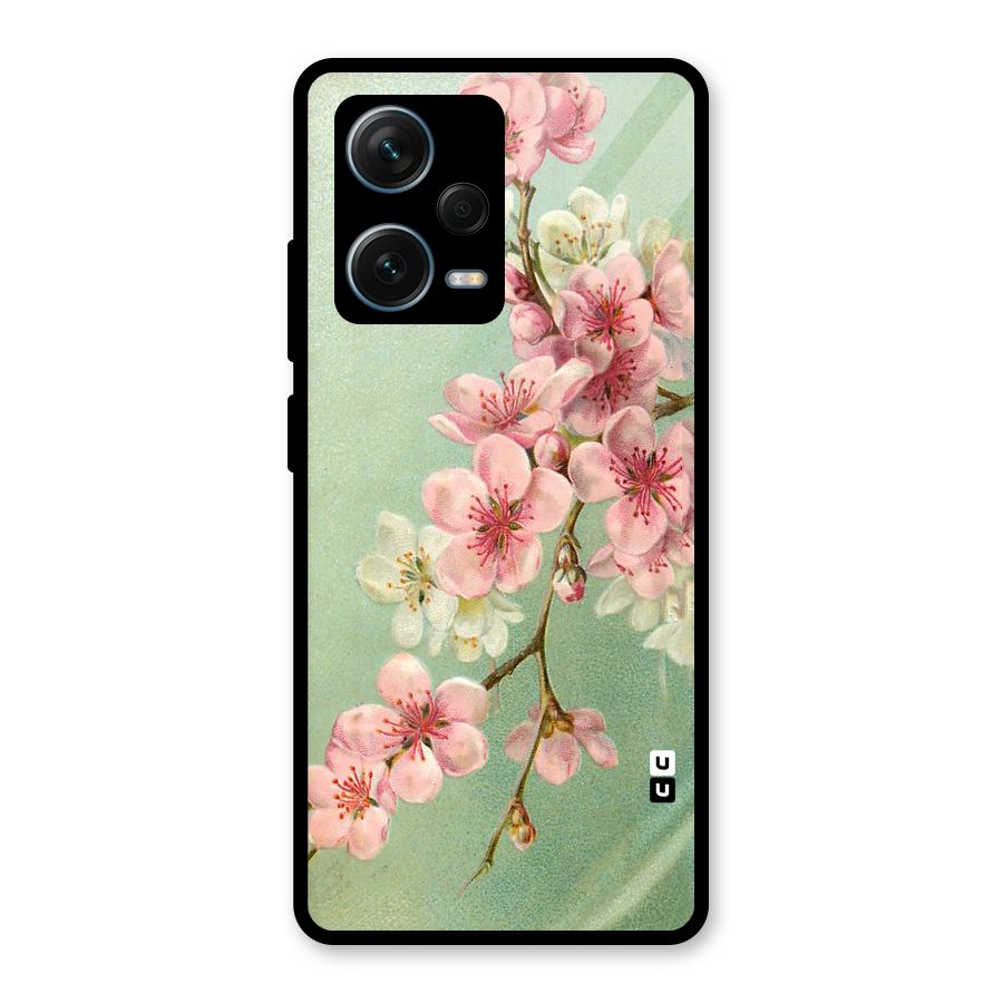 Blossom Cherry Design Glass Back Case for Redmi Note 12 Pro Plus 5G