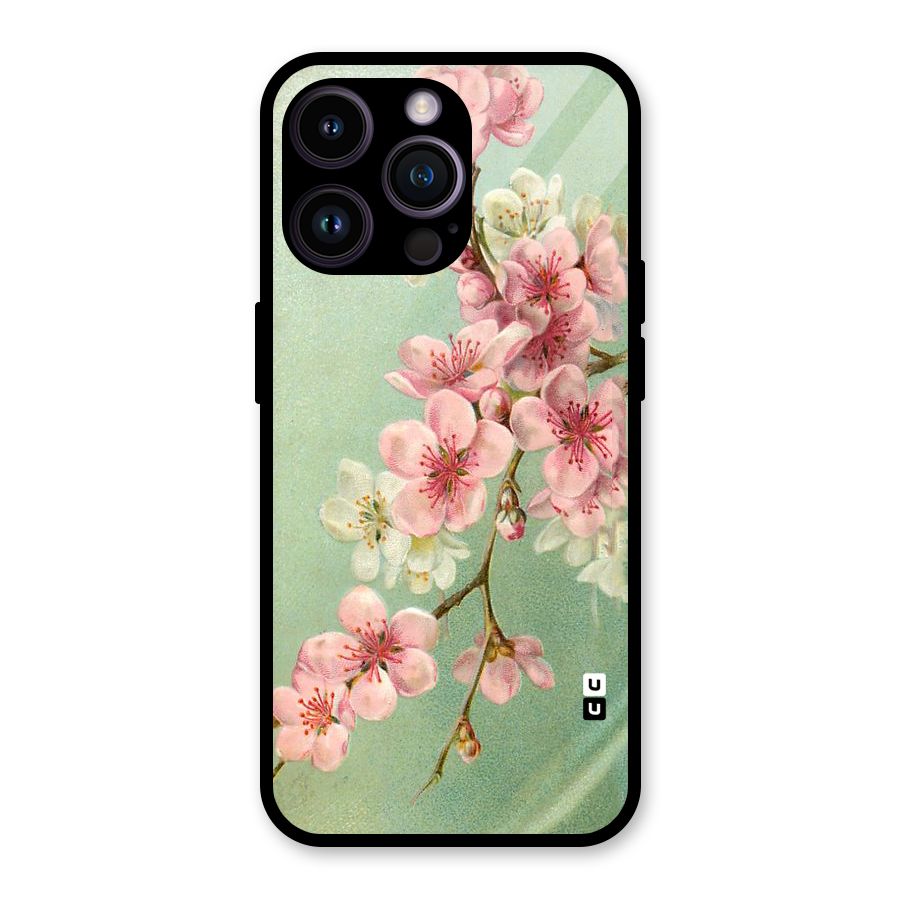 Blossom Cherry Design Glass Back Case for iPhone 14 Pro Max