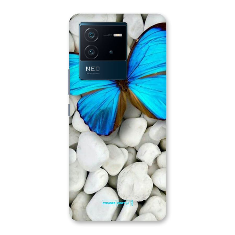 Blue Butterfly Back Case for Vivo iQOO Neo 6 5G