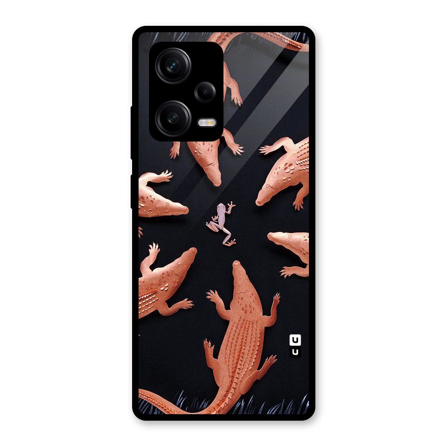 Brave Frog Glass Back Case for Redmi Note 12 Pro