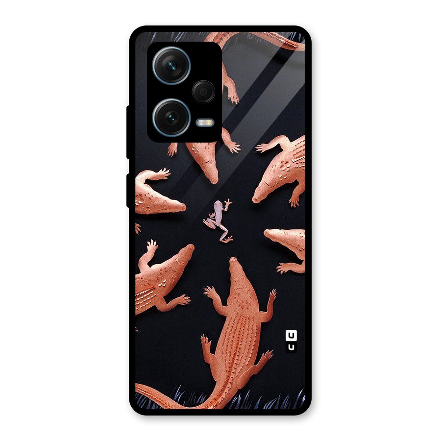 Brave Frog Glass Back Case for Redmi Note 12 Pro Plus 5G