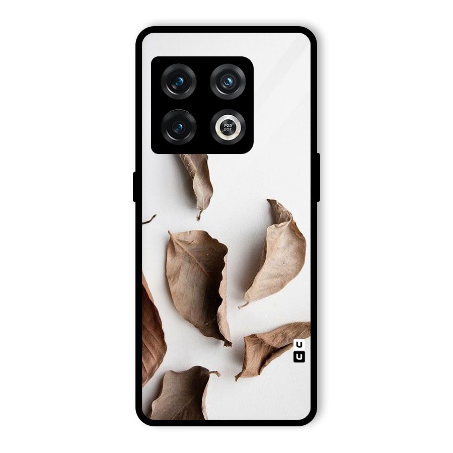 Brown Dusty Leaves Glass Back Case for OnePlus 10 Pro 5G