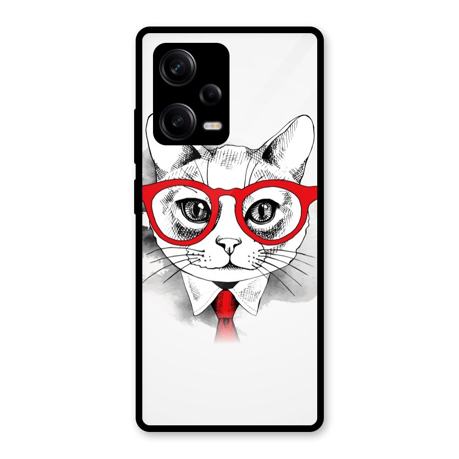 Business Cat Glass Back Case for Redmi Note 12 Pro