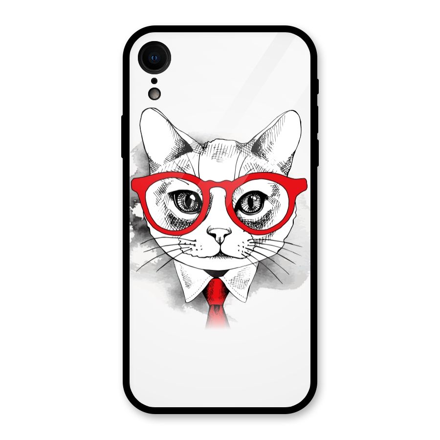 Business Cat Glass Back Case for XR