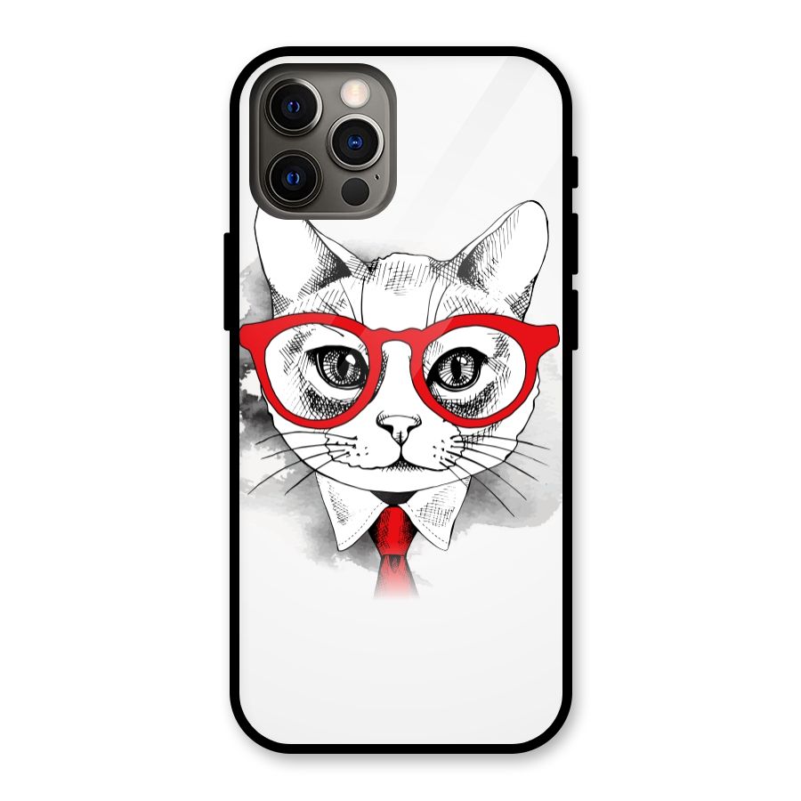 Business Cat Glass Back Case for iPhone 12 Pro
