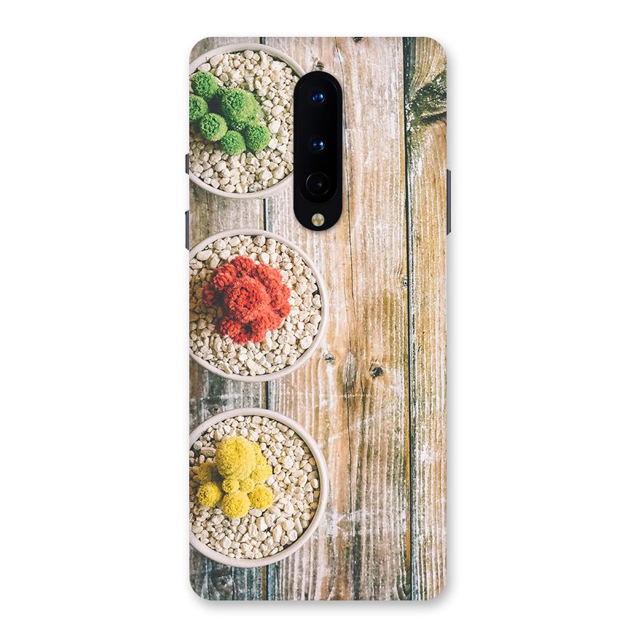 Cacti Decor Back Case for OnePlus 8